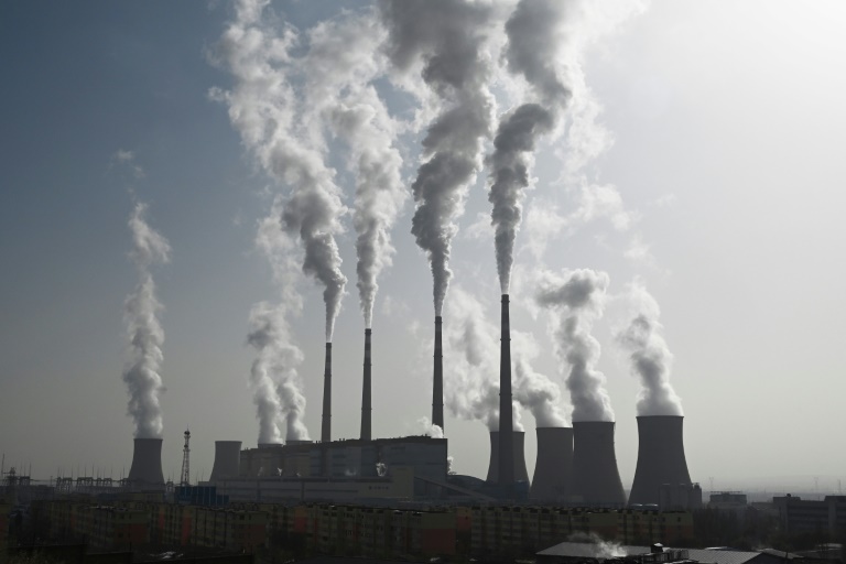 PwC met en garde contre la flambée des coûts de compensation carbone, ce qui soulève des inquiétudes quant aux objectifs Net Zero