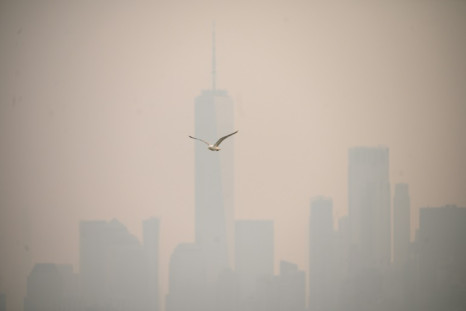 Smog caused by wildfires in Canada shrouded New York's famous skyscrapers in a thick haze of pollution