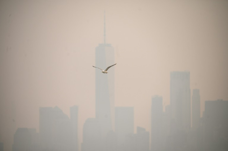 Smog caused by wildfires in Canada shrouded New York's famous skyscrapers in a thick haze of pollution