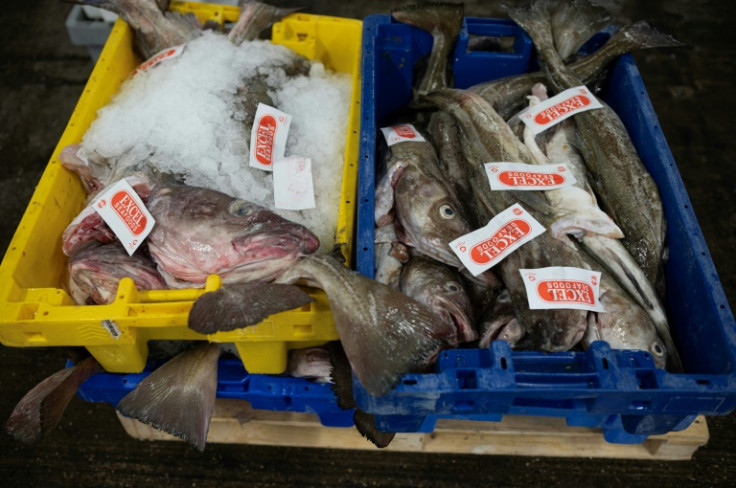 The UK's main fishing port is now in Peterhead, in northeast Scotland, leaving Grimsby with only a handful of specialist boats, a network of traders and processing plants