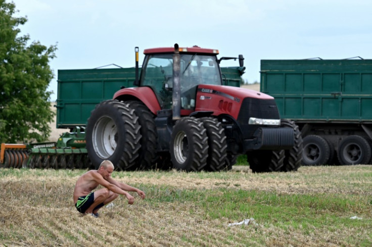 A farm employee breaks during harvest in a field near Kyiv