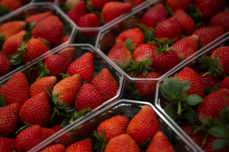 British berry sector facing critical challenge amidst rising production costs