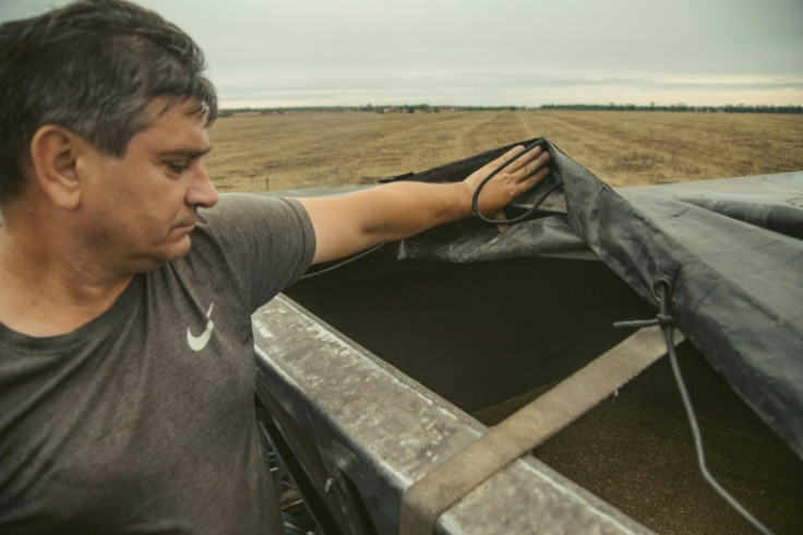 Hundreds of lorry drivers were waiting to take grain to the Danube river port of Izmail