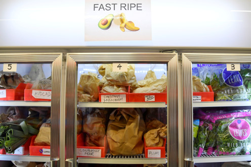 Ultra-processed foods