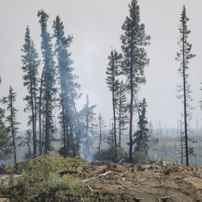 Canada's fires were fueled by drier and hotter conditions caused by climate change -- and by releasing greenhouse gasses into the atmosphere, these fires in turn contribute to global warming