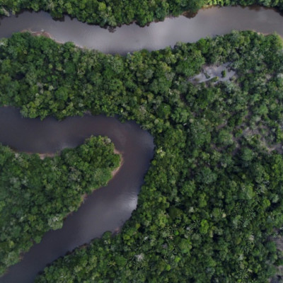 Amazon rainforest 