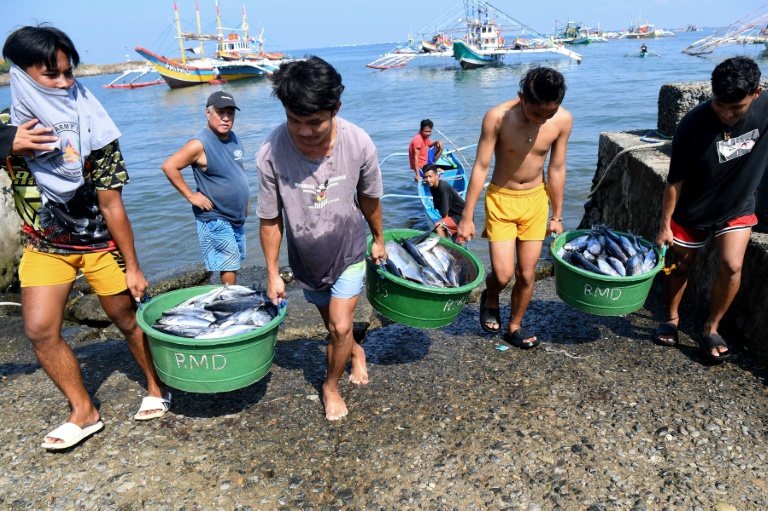 Des pêcheurs chinois accusés d’avoir empoisonné les eaux et les récifs coralliens avec du cyanure