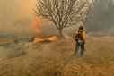 A firefighter battling the Smokehouse Creek Fire, near Amarillo, in the Texas Panhandle