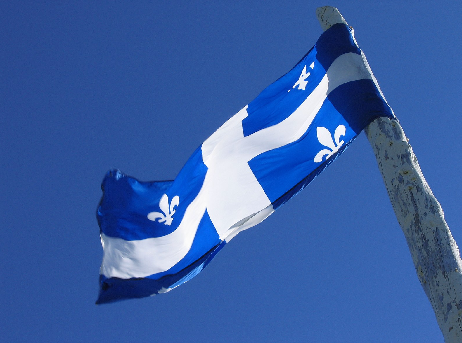 Le Québec approuve le marqueur de genre X pour les personnes trans et non binaires sur les cartes provinciales