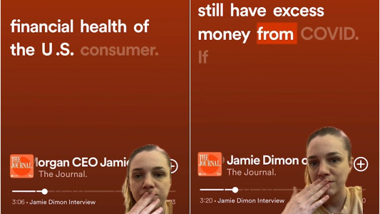 TikTok creator Anna blasted JP Morgan CEO