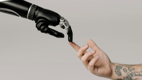 Robot hand and human hand