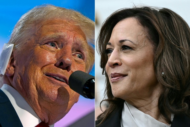 トランプ大統領のスケジュールが眉をひそめる中、ハリス氏が激戦地を攻撃