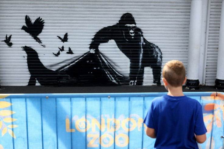The latest mural on a shutter outside London Zoo showed a gorilla lifting the shutter to free birds and a seal, with some animals staring out from the inside