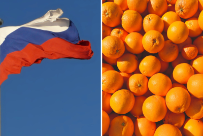 Russia Oranges Trade