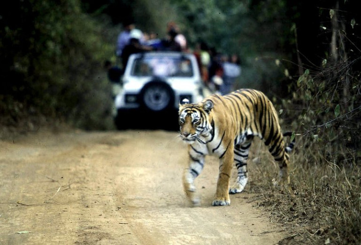 Technology intended to protect tigers in an Indian forest have sometimes been turned on women, researchers warn