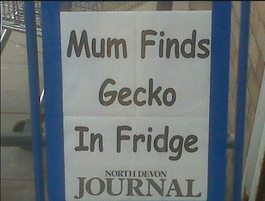 Mum Finds Gecko In Fridge
