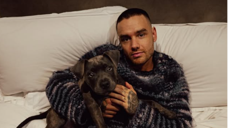 Liam Payne