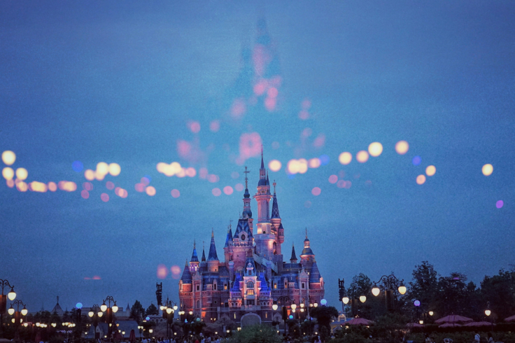 Disney Castle