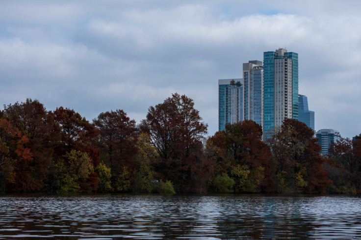 Lake in a park with city building in the background