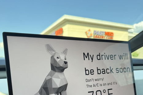 Tesla Dog Mode