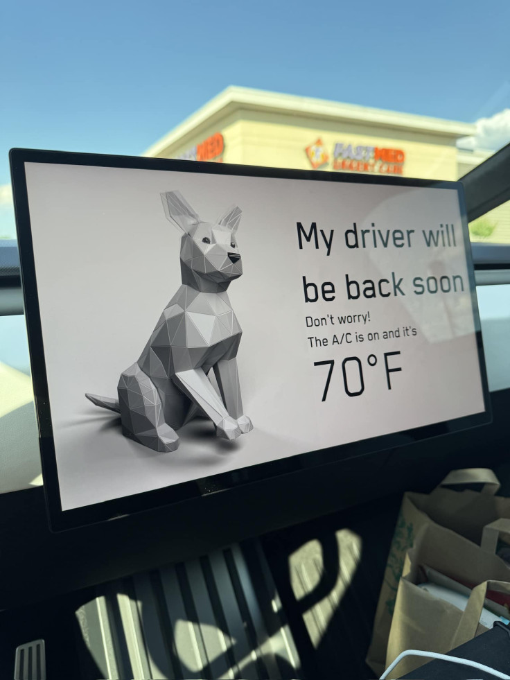 Tesla Dog Mode