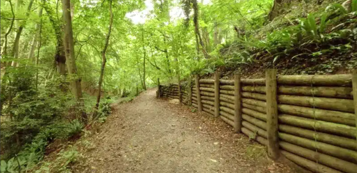 The woods of Danes Dyke in Bridlington