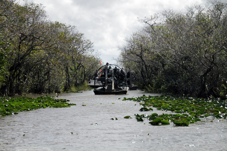 The Florida Everglades