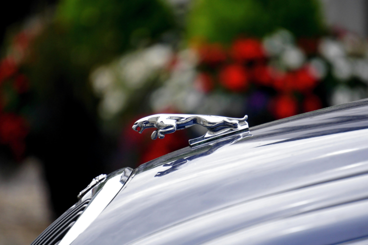 Jaguar Sales Crash 97% After ‘Woke’ Rebrand! Is This the
