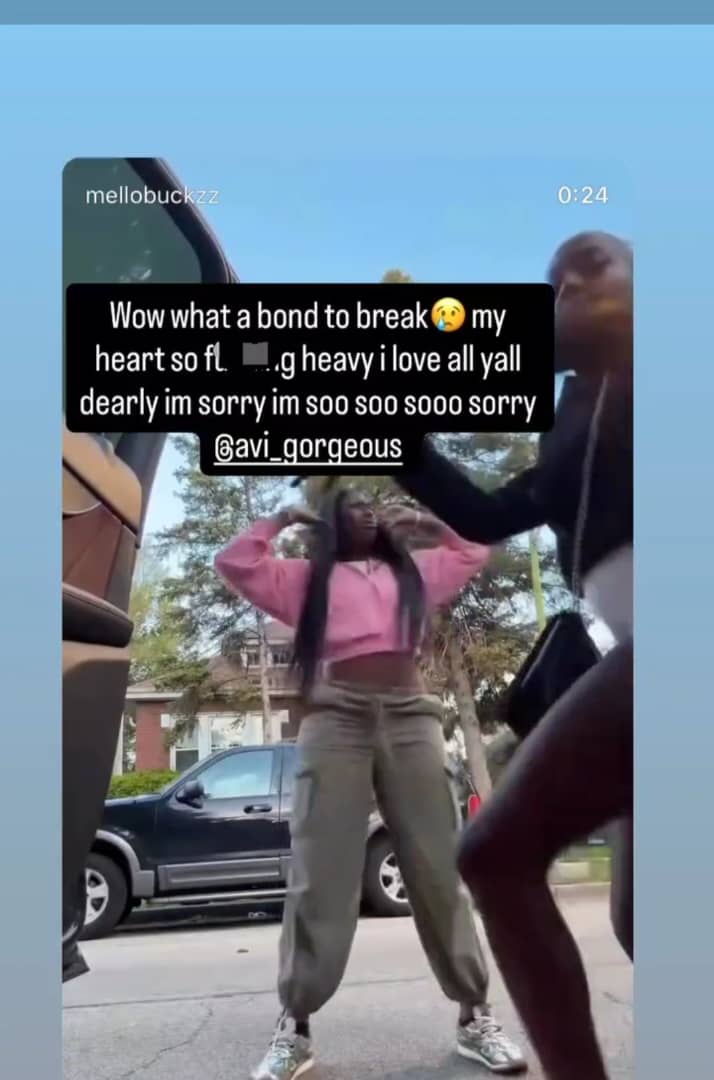 Mello Buckzzs Story Mello Buckzzs Story