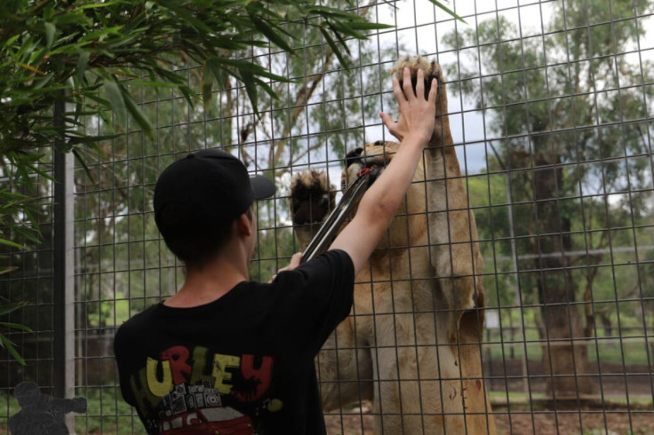Darling Downs Zoo