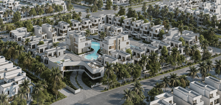 Swank Development