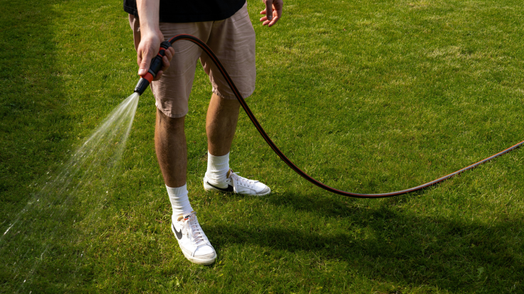 Hose