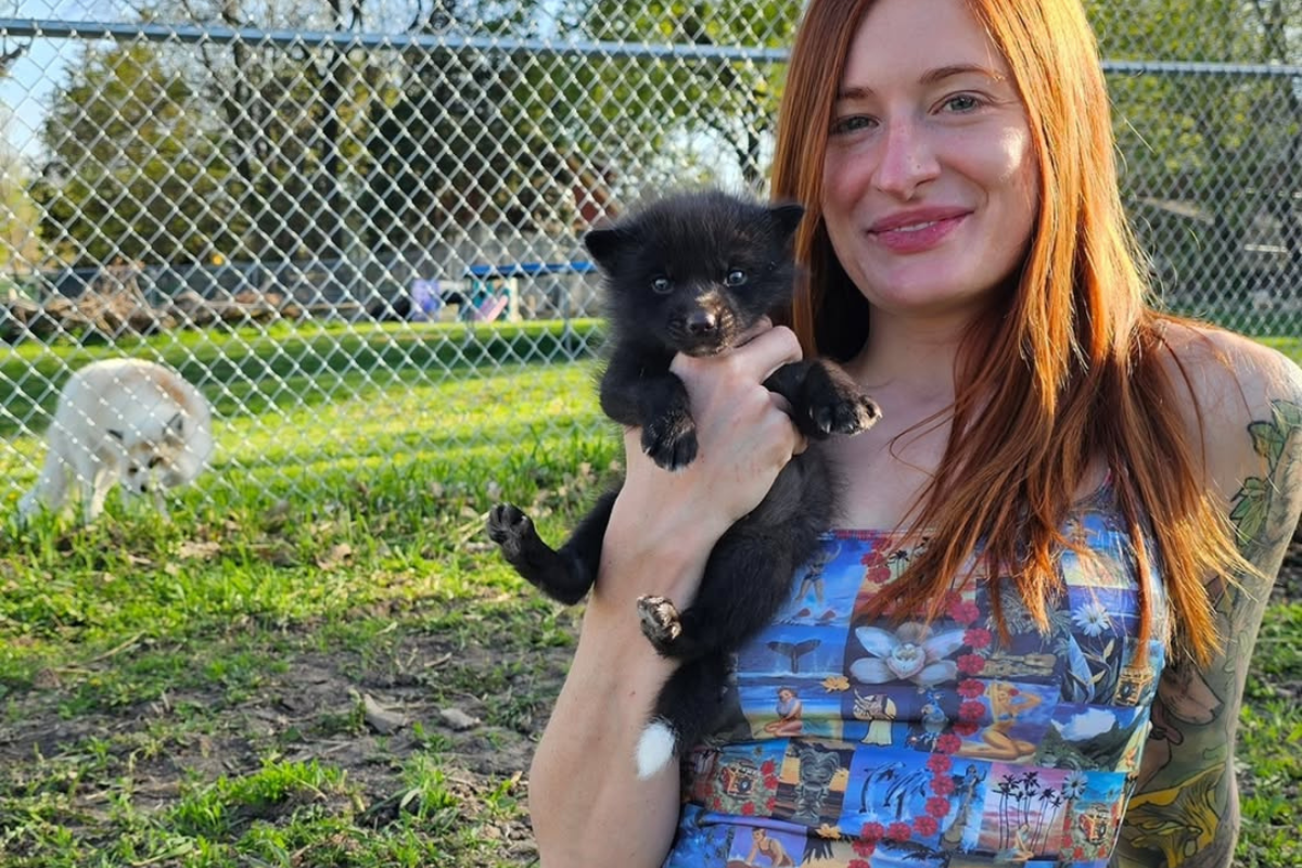 Mikayla Raines Cause of Death Confirmed: New Details about YouTuber's Suicide Emerges