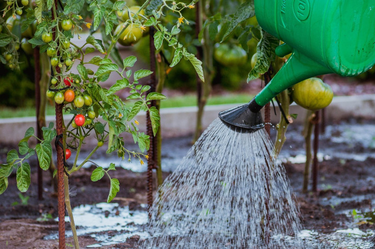 Watering can