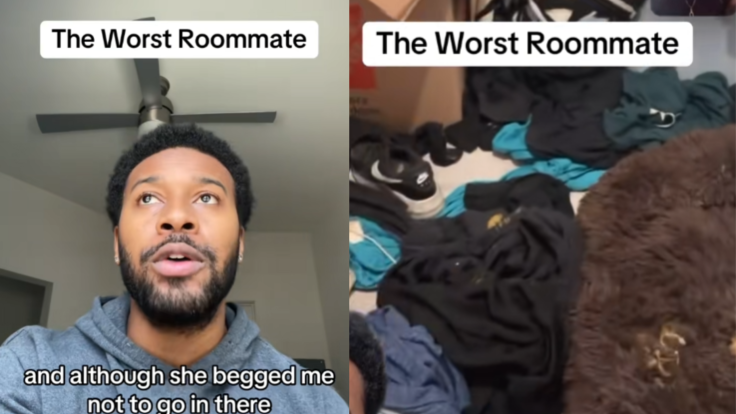 TikTok Roomate Videos
