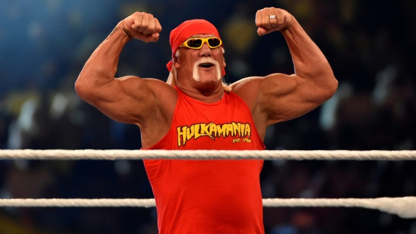 Hulk Hogan's Cause of Death Confirmed as Heart Attack After Secret Battle with Chronic Leukaemia | IBTimes UK