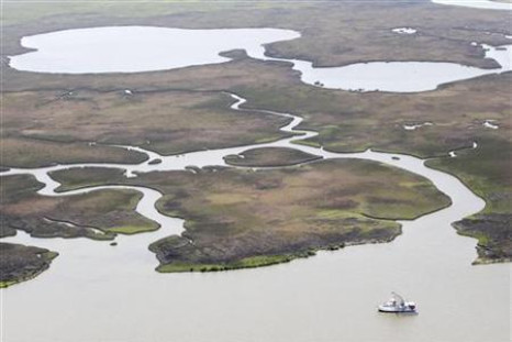 A shrimp boat trawls near healthy marsh, bayous and water ways east of the mouth of the Atchafalaya River near Morgan City, Louisiana