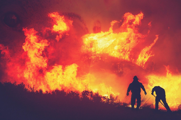 Wildfire