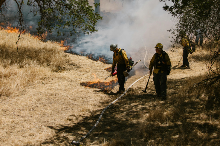 Firefighters on Brown Grass Field