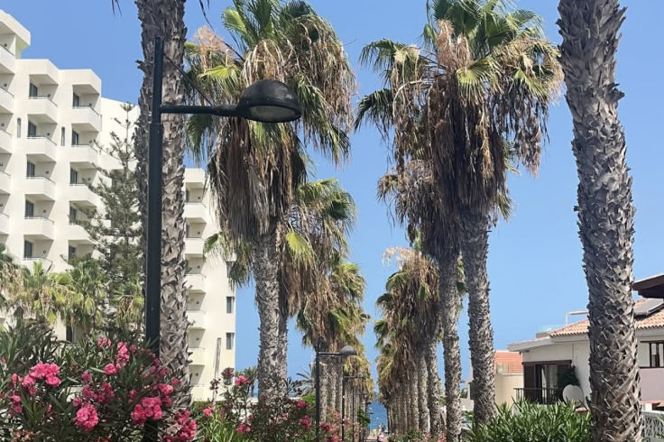Playa de Las Americas