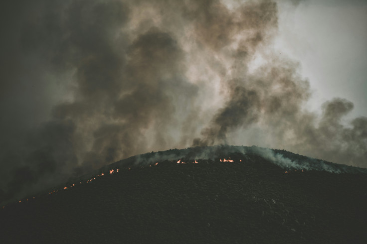 Wild fire