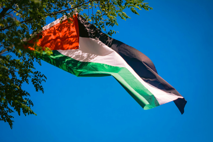 Palestine flag hanging in tree