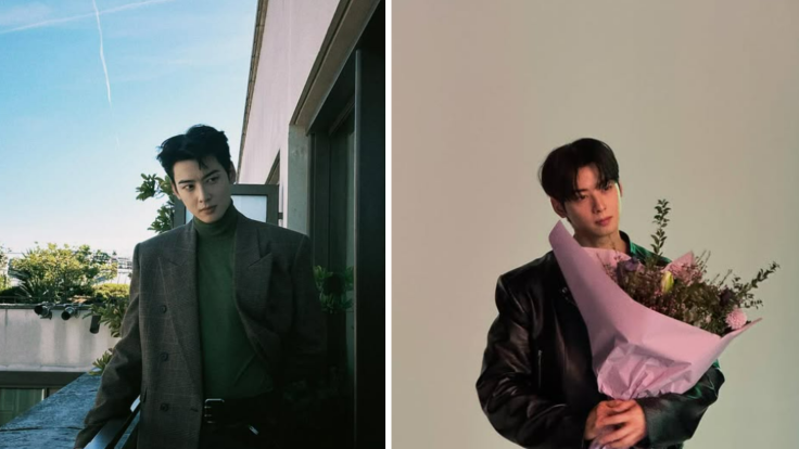 Cha Eun-woo