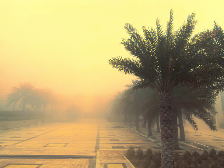 Trees in a Sand storm