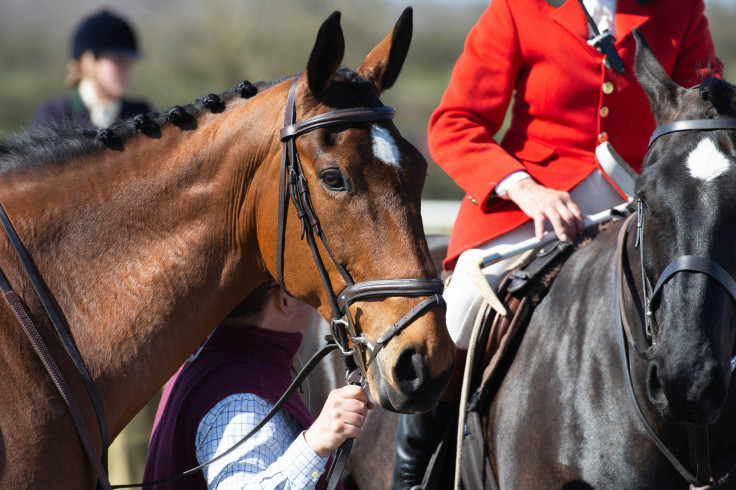 horse-racing