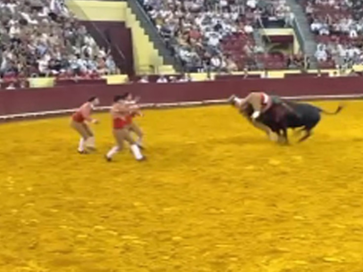 lisbon bullfighter touroeoro.com