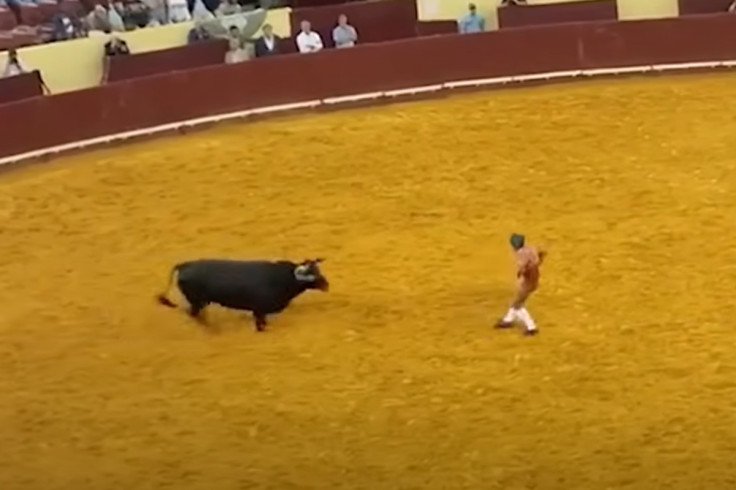 lisbon bullfighter nypost youtube