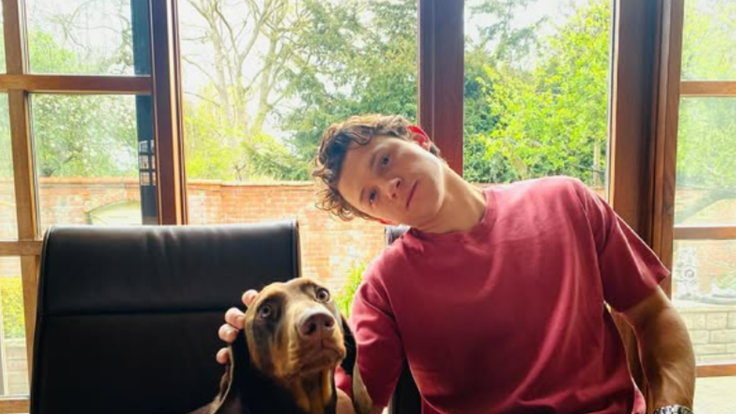 Tom holland