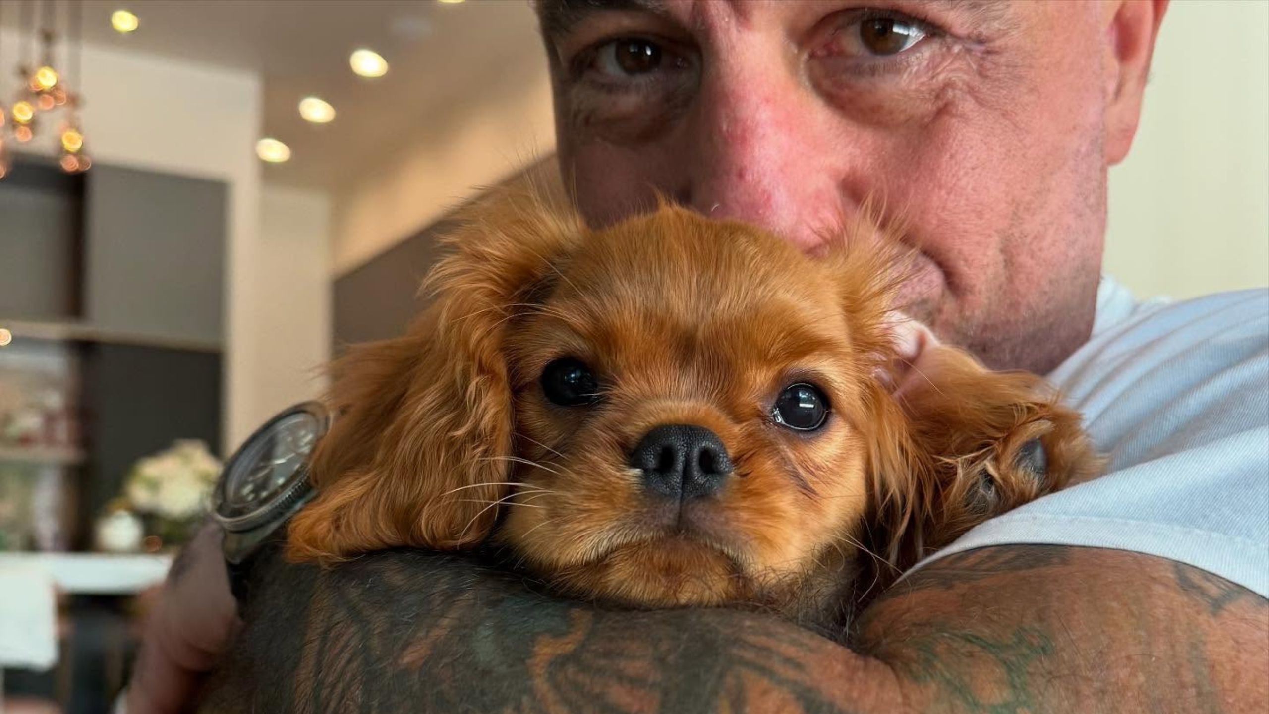 Joe Rogan