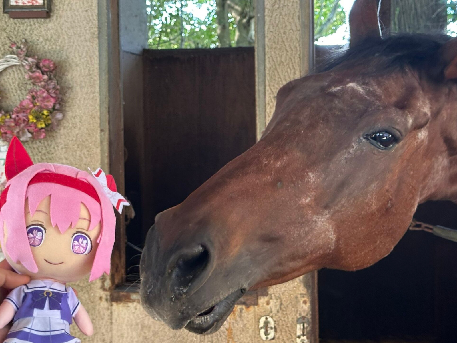 RIP Haru Urara: What Killed the Japanese Horse